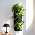 Plantenmuur Box incl. Plantenmix - €12,95