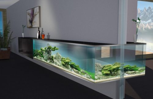 vergaan Geheugen Ambient 10x Aquarium in huis - Huis-inrichten.com