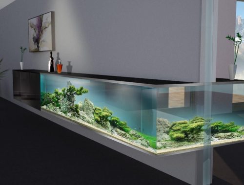 10x Aquarium in huis