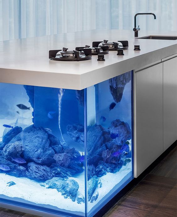 Aquarium in huis Aquarium in huis