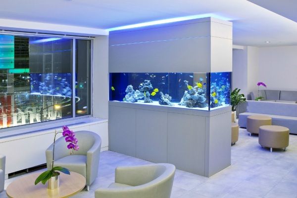 Aquarium in huis Aquarium in huis