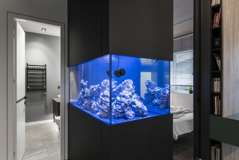 Aquarium in huis Aquarium in huis