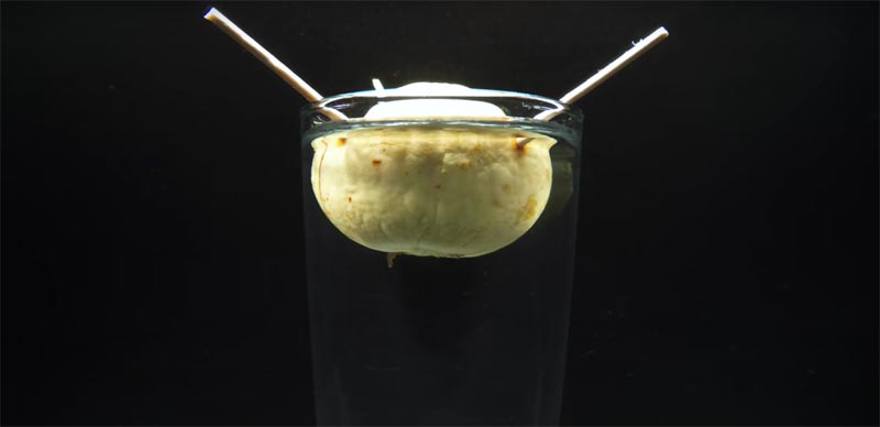 avocado pit groeien op glas plaatsen avocado pit groeien op glas plaatsen