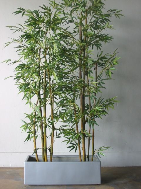 dump emulsie cursief Bamboe in huis - Huis-inrichten.com