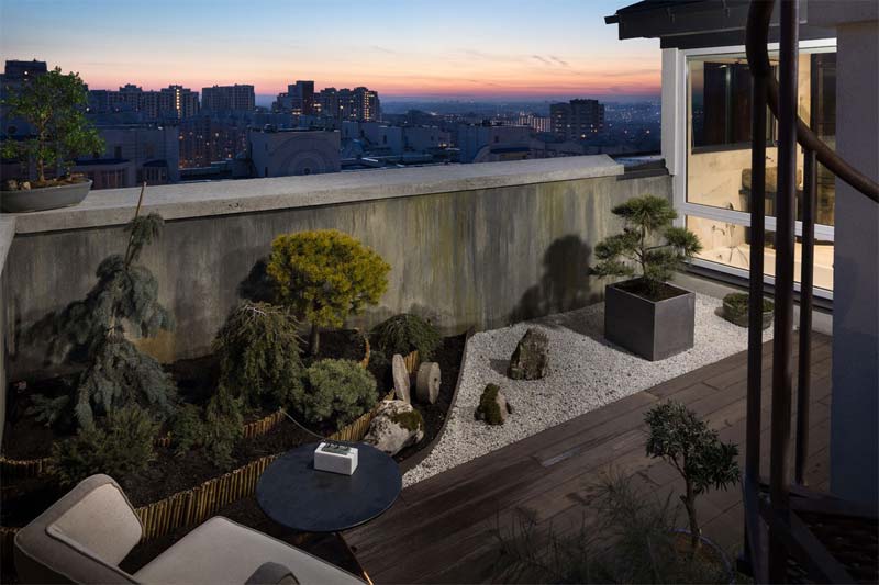 bonsai boom op balkon bonsai boom op balkon