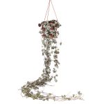 Prijs: €17,50 <br />Hoogte (incl. pot) ±: 30 cm