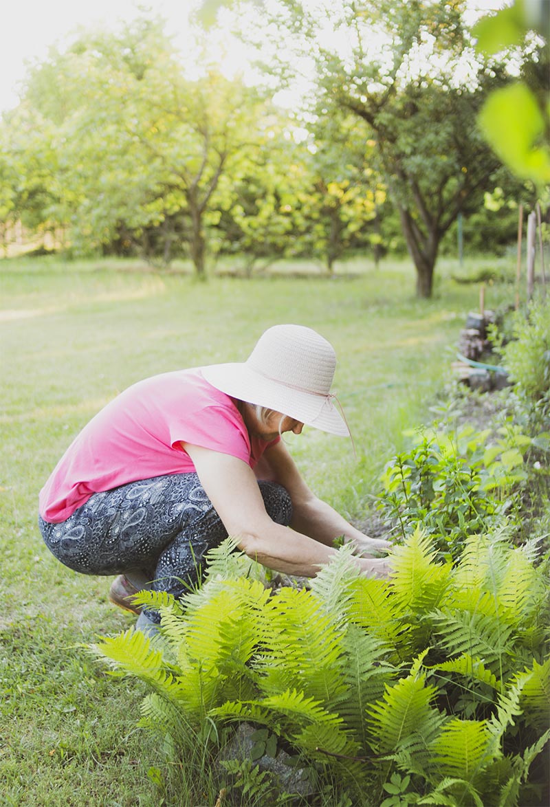 duurzame milieuvriendelijke tuin tuinieren