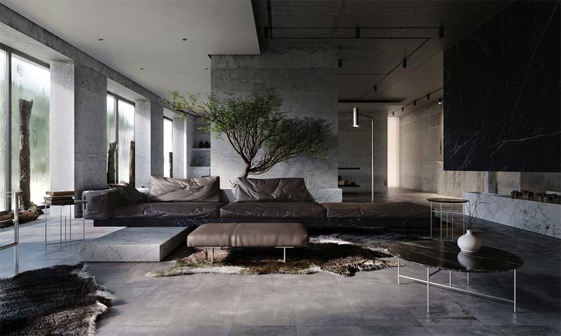 grote bonsai boom grote bonsai boom