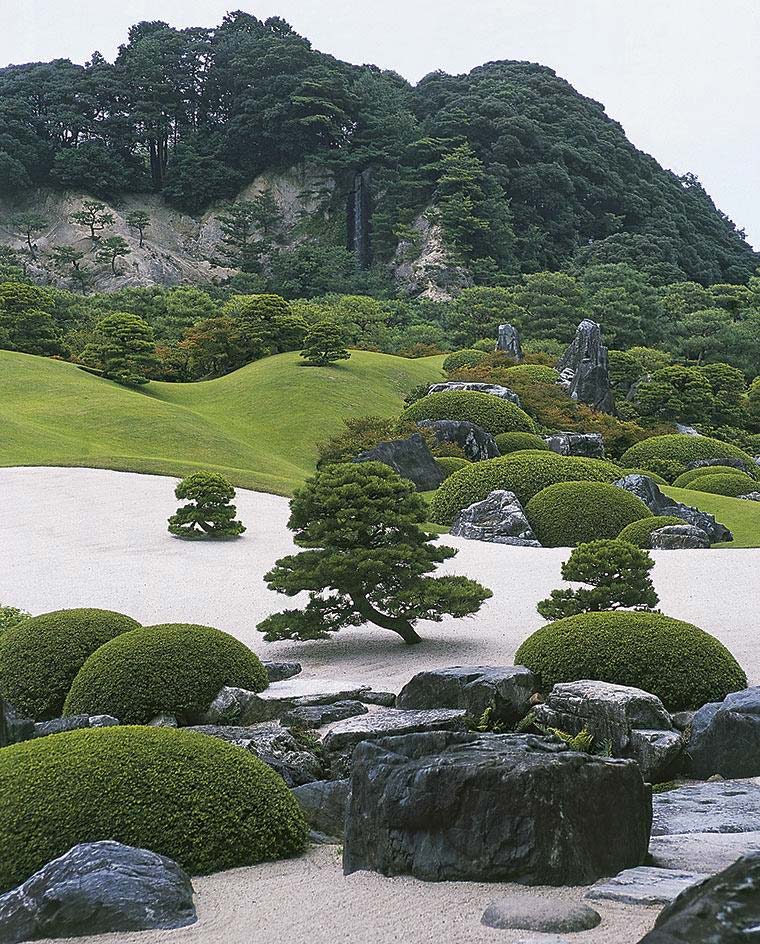japanse tuin bonsai boom
