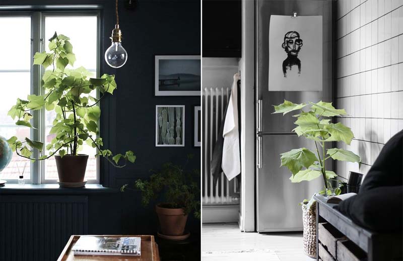 kamerlinde inspiratie