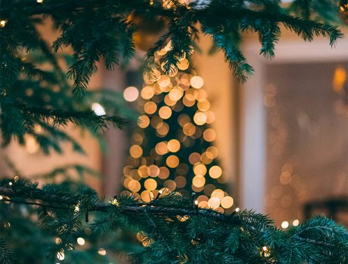 Het plaatsen van een kerstboom in de voortuin brengt niet alleen ons huis tot leven, maar ook de hele buurt.