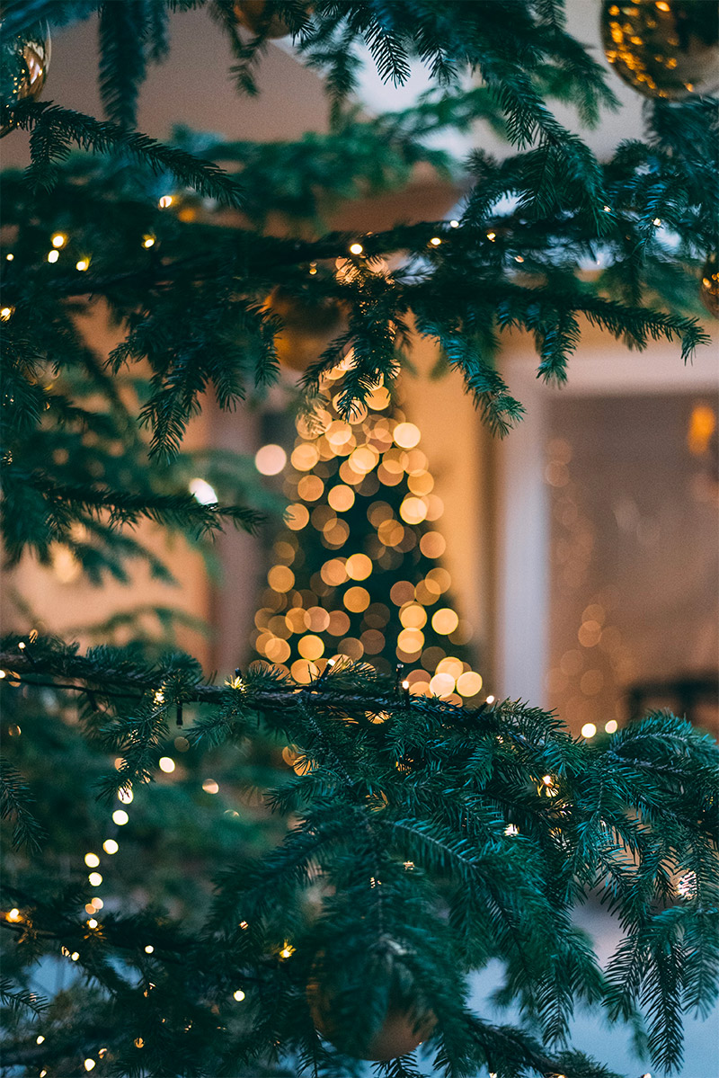 kerstdecoratie voortuin kerstboom