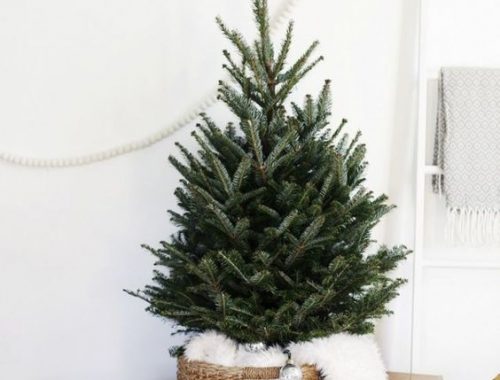 10x Minimalistische kerstboom