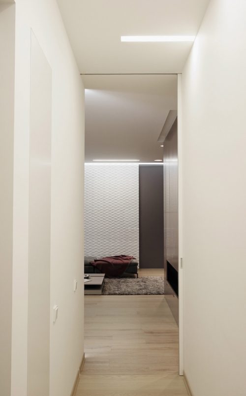 Modern Scandinavisch appartement met grijs