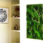 Bron: ArtBotanicaMoss