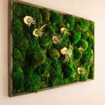 Bron: ArtBotanicaMoss
