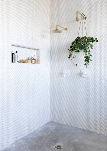 Nisje in de muur