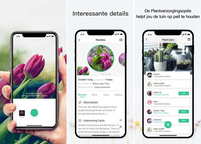 planten herkennen app picturethis planten herkennen app picturethis