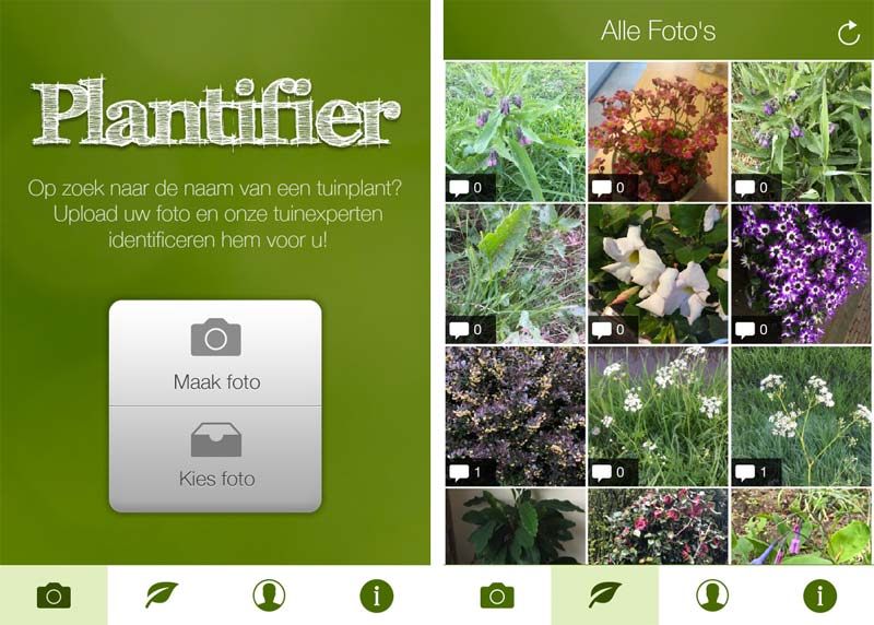 planten herkennen app plantifier planten herkennen app plantifier