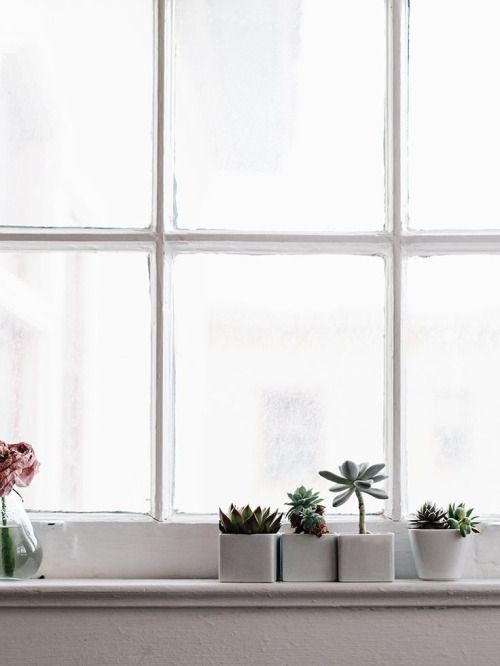 vensterbank inspiratie planten