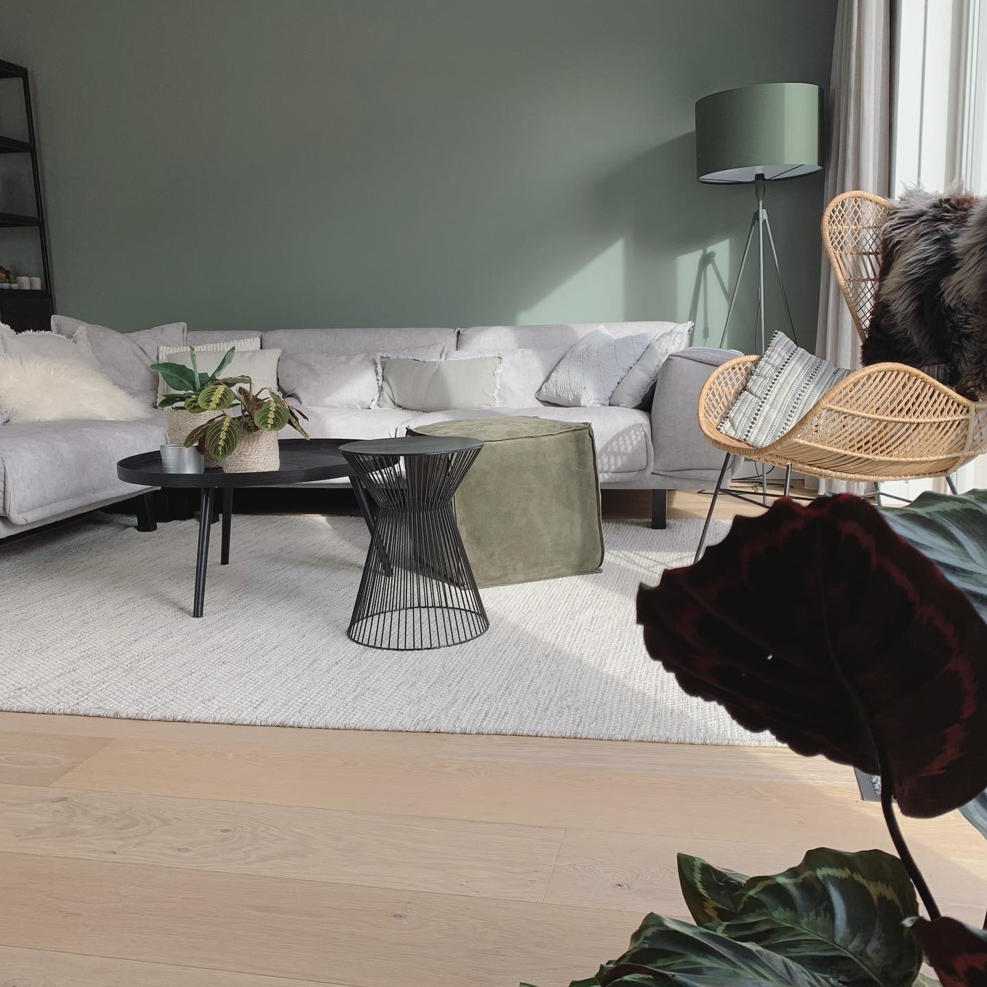 woonkamer groene muur puur hardsteen flexa woonkamer groene muur puur hardsteen flexa